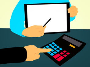 开云-青少年篮球人才培养机制不断创新推动多元化发展，青少年篮球技术训练内容与要素分析